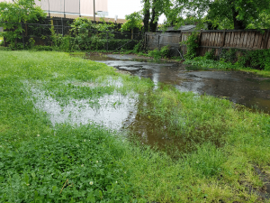 Is your yard flooded and not usable after it rains?